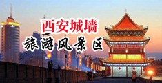 黑人大吊插插插中国陕西-西安城墙旅游风景区